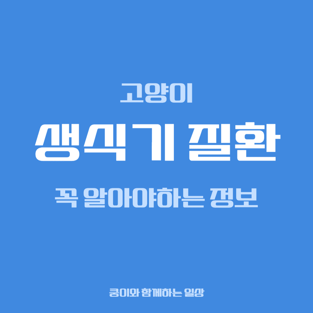 고양이 생식기 질환, 집사가 꼭 알아야 할 정보