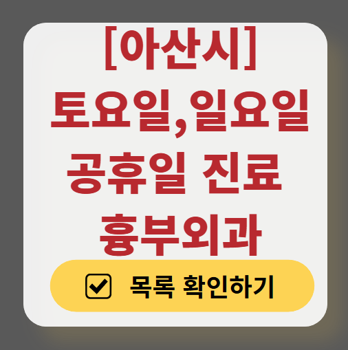 아산시 주말 토요일 일요일 흉부외과 진료 병원 목록 ❘ 공휴일 진료 영업 병원 리스트 찾기