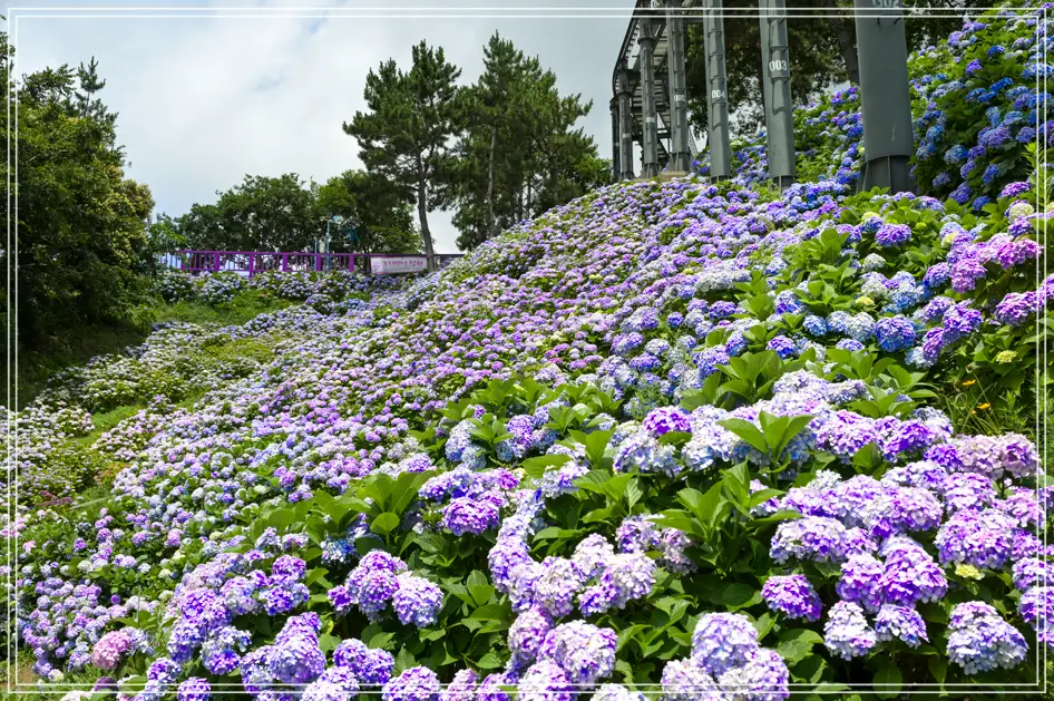 capture-20250620-230729