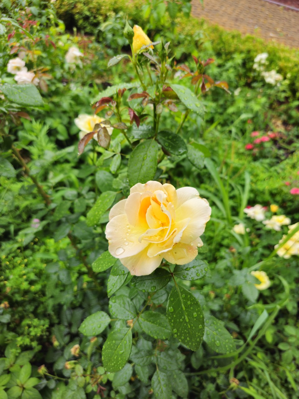 북유럽 복지정책, 진짜 효과 있을까?