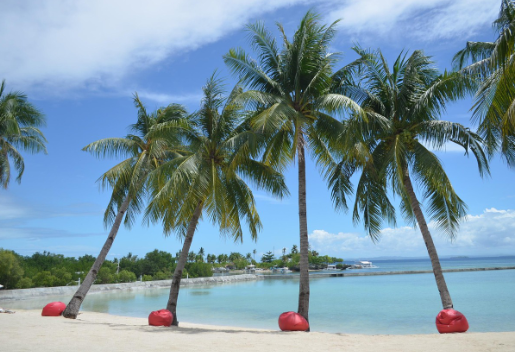 세부 리조트 비교! 지역별 추천 숙소 총정리