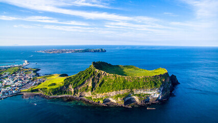 25년 4월 봄꽃여행지추천!!벚꽃 & 유채꽃 절정! 봄꽃 여행지 BEST 6