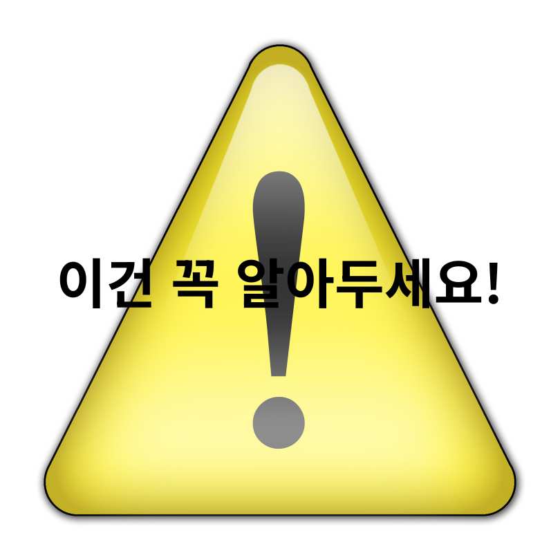 민생회복 소비쿠폰 1만 원 더 받기:서울페이