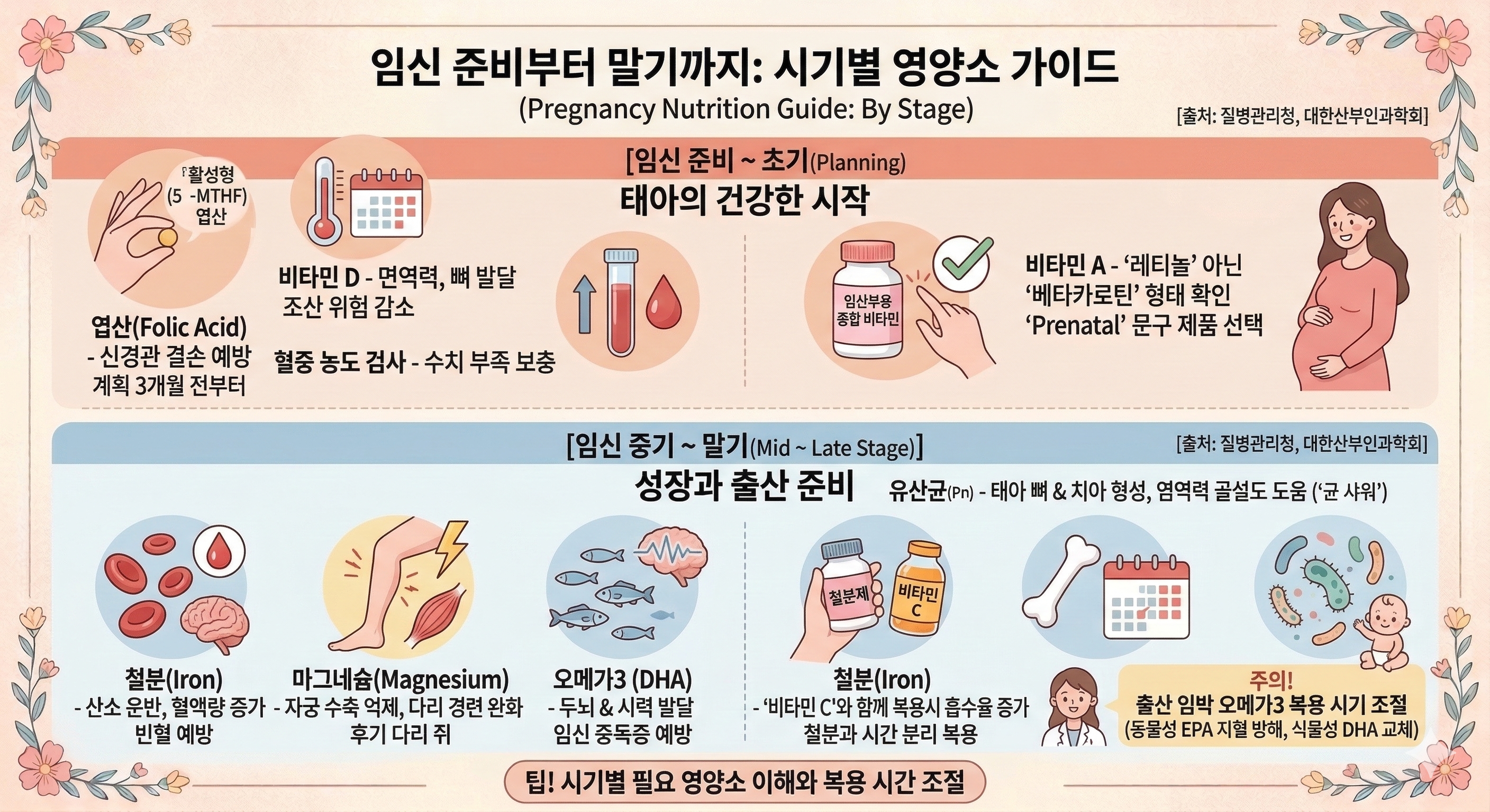 임신 준비 영양제