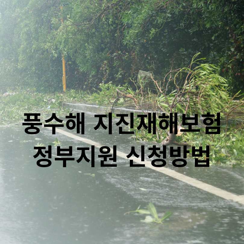 풍수해 지진재해보험 정부지원 신청방법
