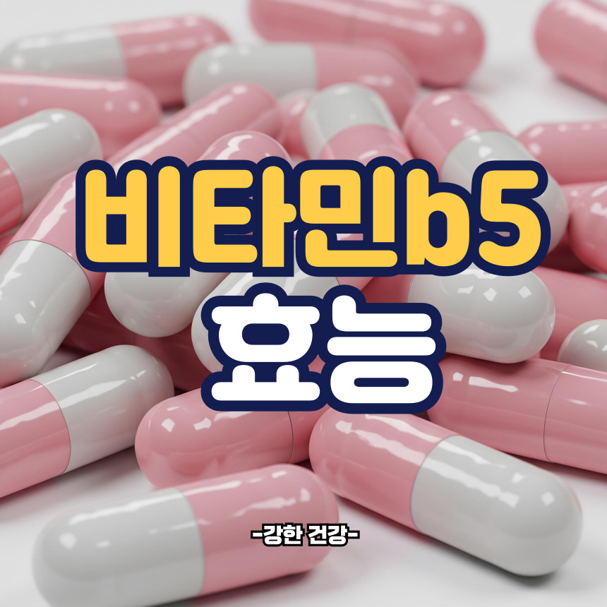 비타민b5 효능