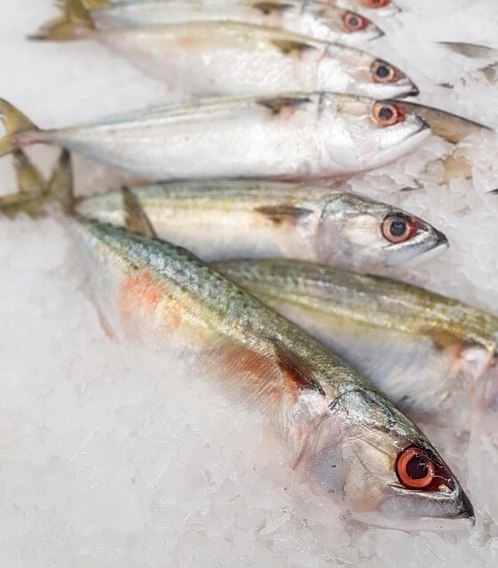 9월 제철 해산물로 즐기는 건강한 식탁