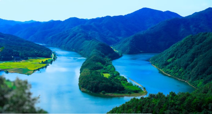 제15회-향수옥천포도복숭아축제