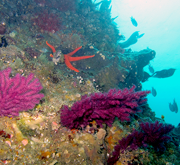 여수 가볼만한곳 베스트10