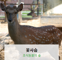 전주동물원