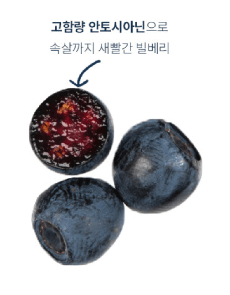 비문앤 빌베리