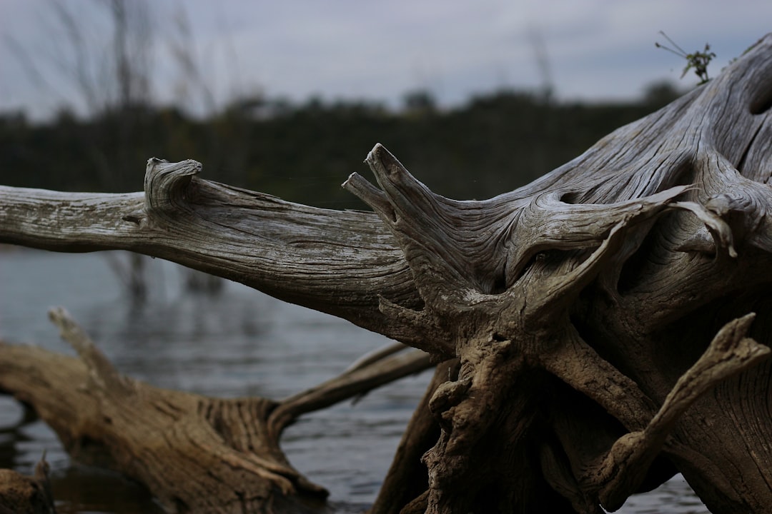 Wooden