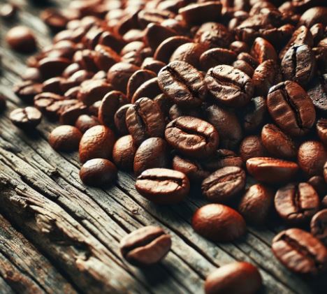 2024년 원두 크렌드 사진