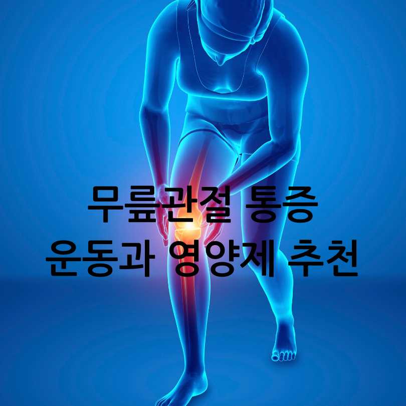 무릎통증관절운동영양제