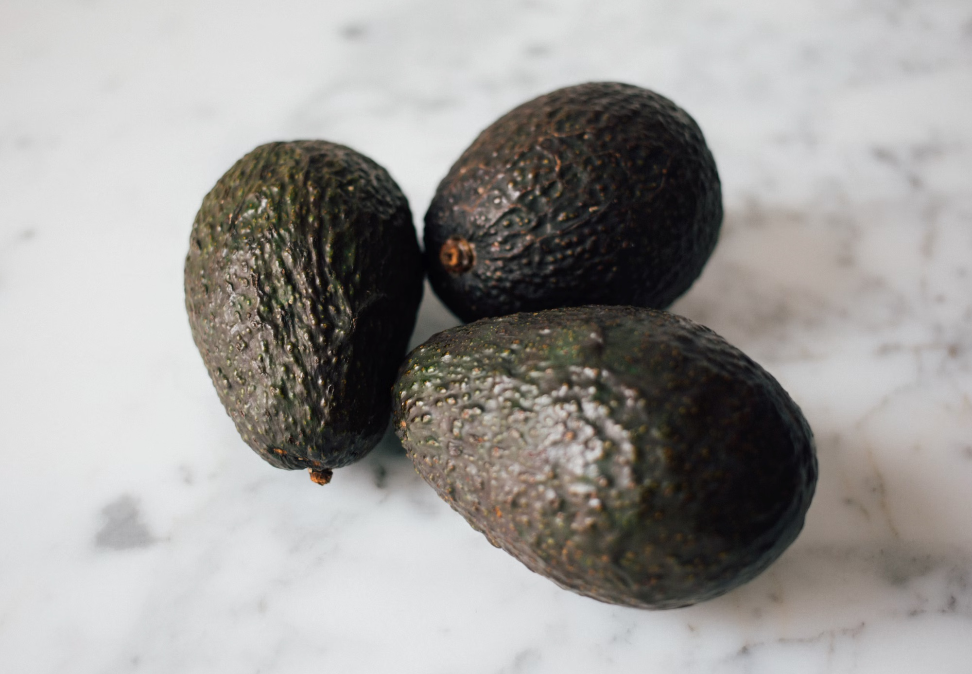 아보카도 빨리 후숙