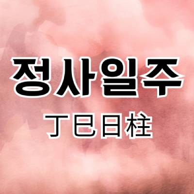 정사일주(丁巳日柱)