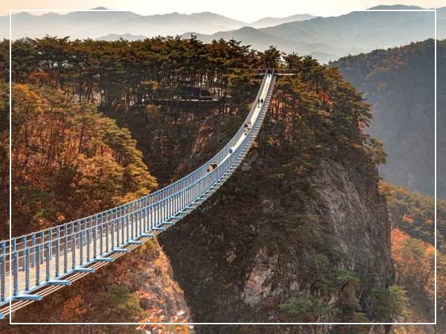 소금산 밸리 출렁다리 이미지