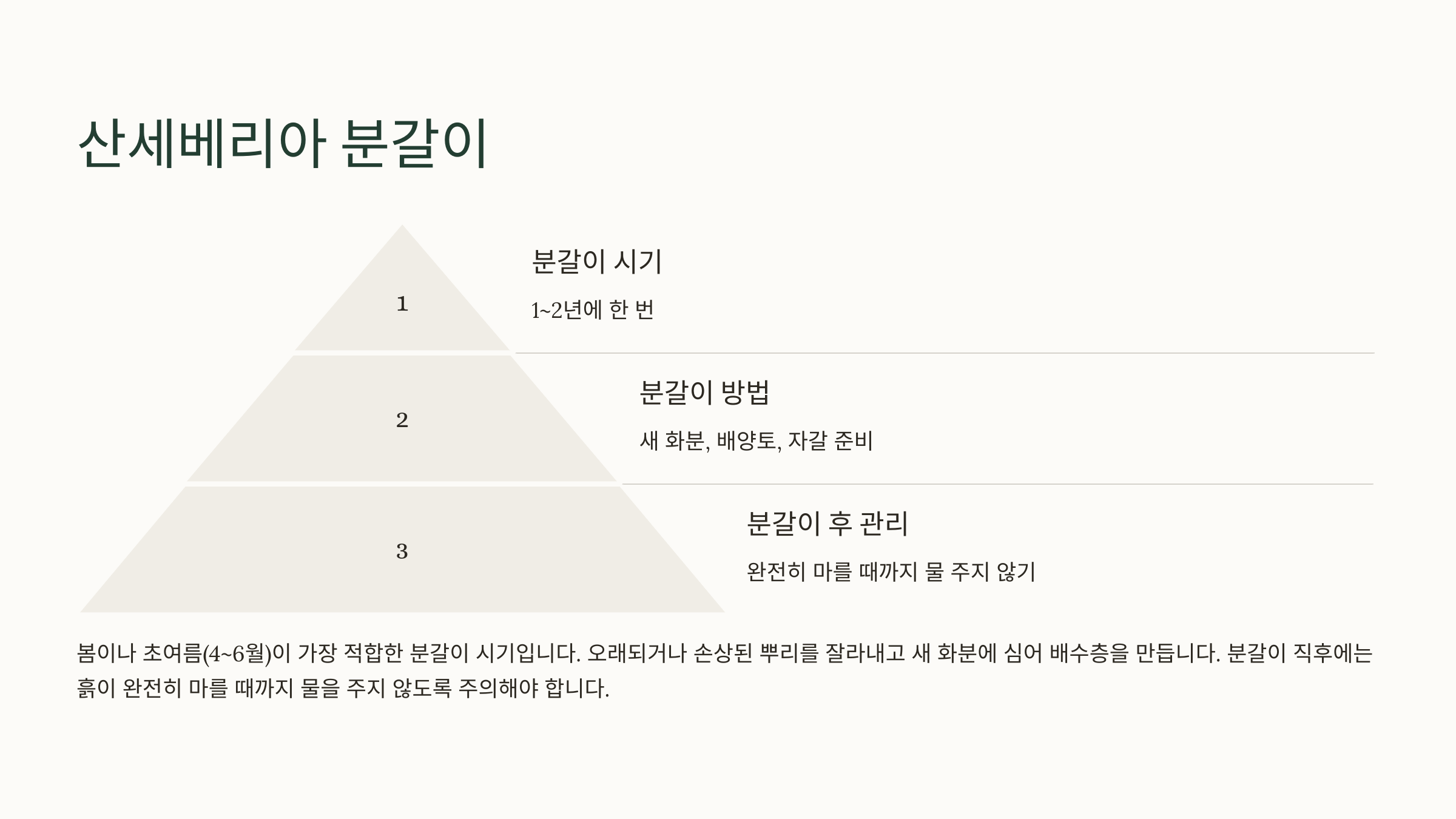 산세베리아 사진입니다.