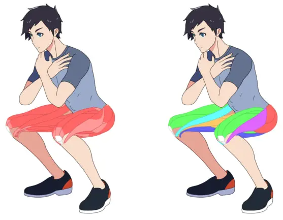 근육 트레이닝 방법