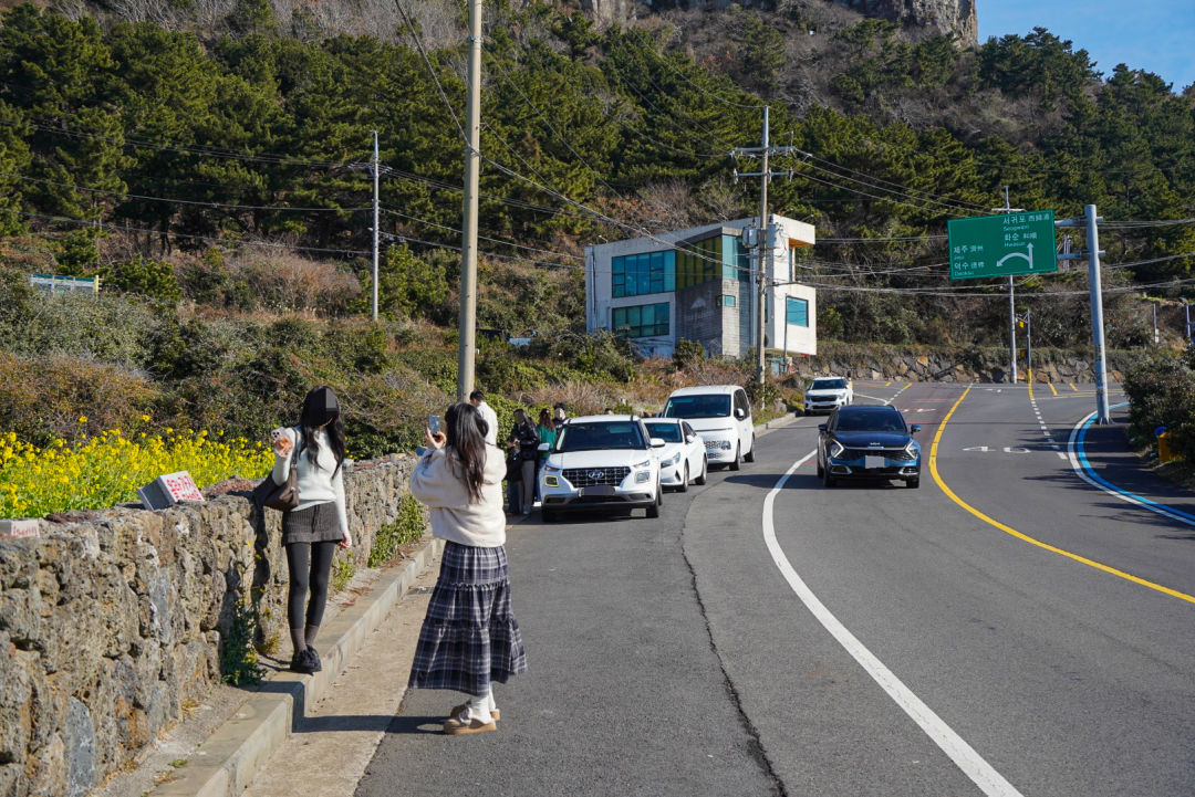 산방산 유채꽃 주차