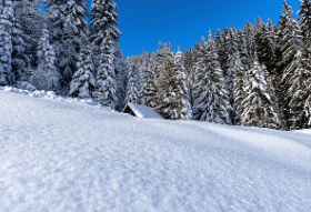 RSV 바이러스 백신가격