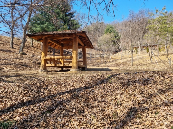 정자