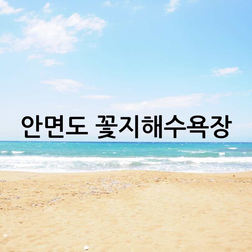 2025년 태안 튤립 축제