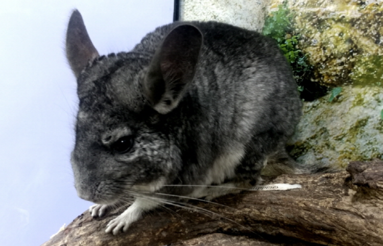 부천 자연생태공원