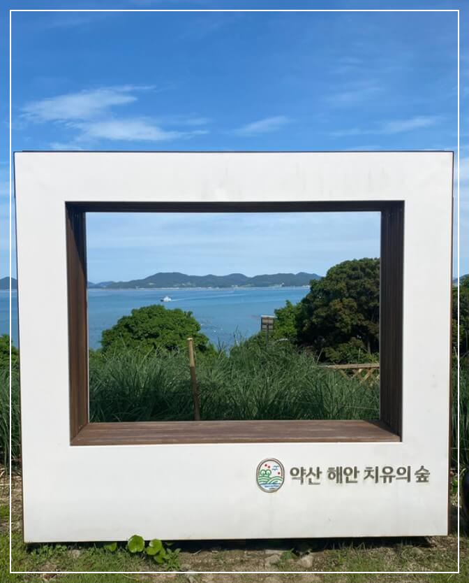 완도 가볼만한곳 베스트10 약산 해안치유의 숲