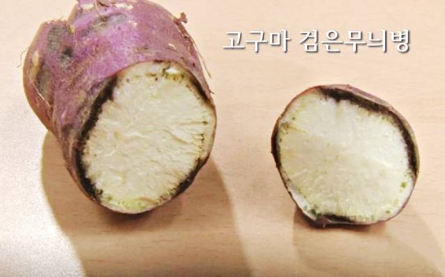 상한 고구마 구별,고구마 검은반점