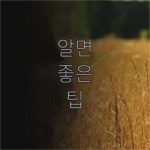 2025 광양 임신부 건강관리 교통비..