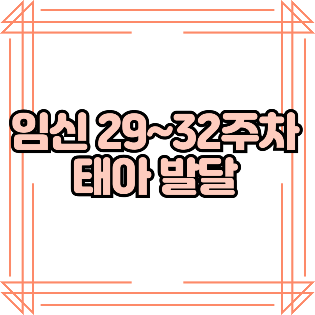 임신 29~32주차 태아 발달 – 태아의 체중 증가와 면역력 형성