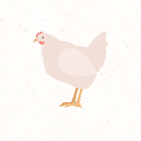 1993년 닭띠 운세