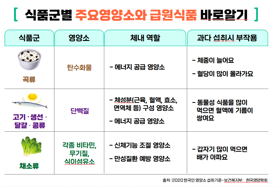 식품군별 주요 영양소
