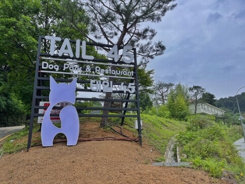 용인 반려견 카페 추천 BEST 3 : 실외 운동장·브런치 가능한 애견동반 명소 정리