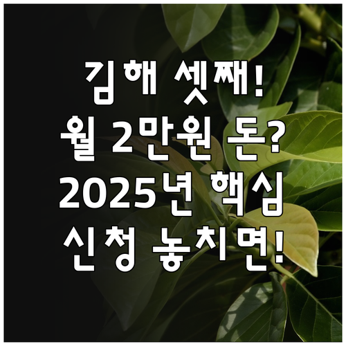 김해 셋째아 아이사랑 건강관리비 20..