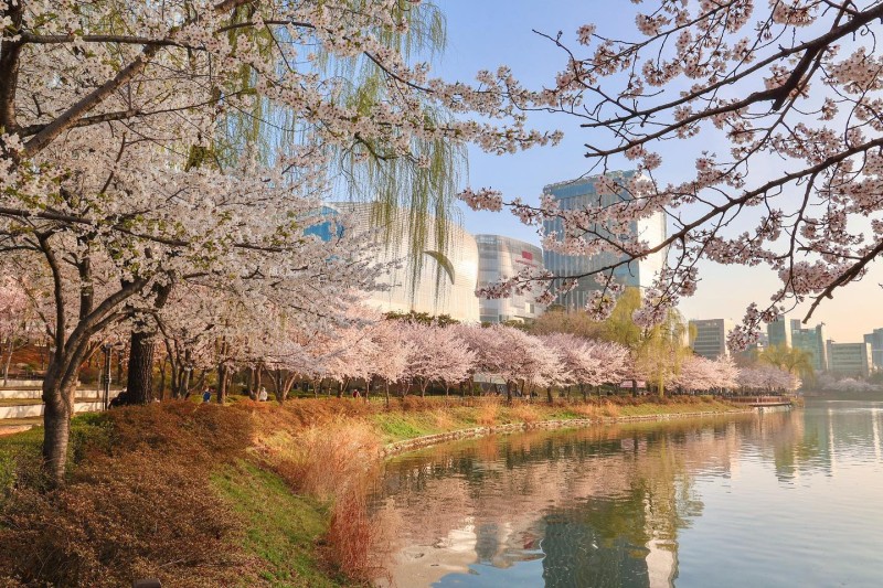 3월 국내 여행지 추천