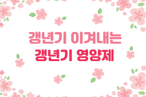 갱년기 이겨내는 갱년기 영양제