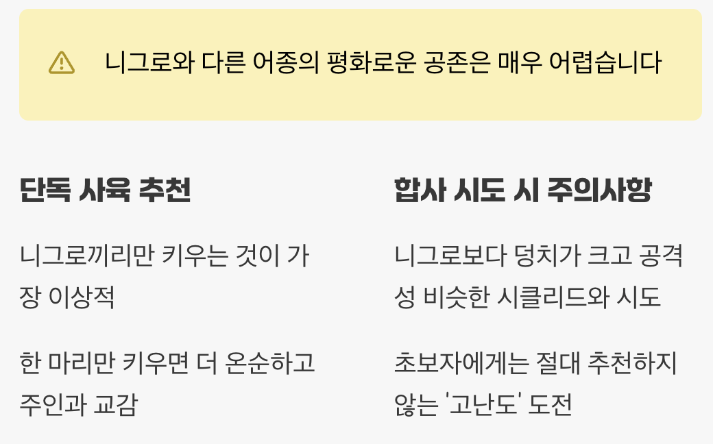 합사 - '단독 사육'이 평화를 부른다
