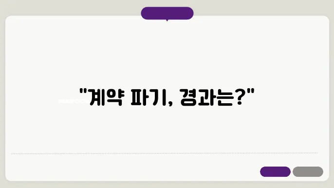 집 계약후 팊정제