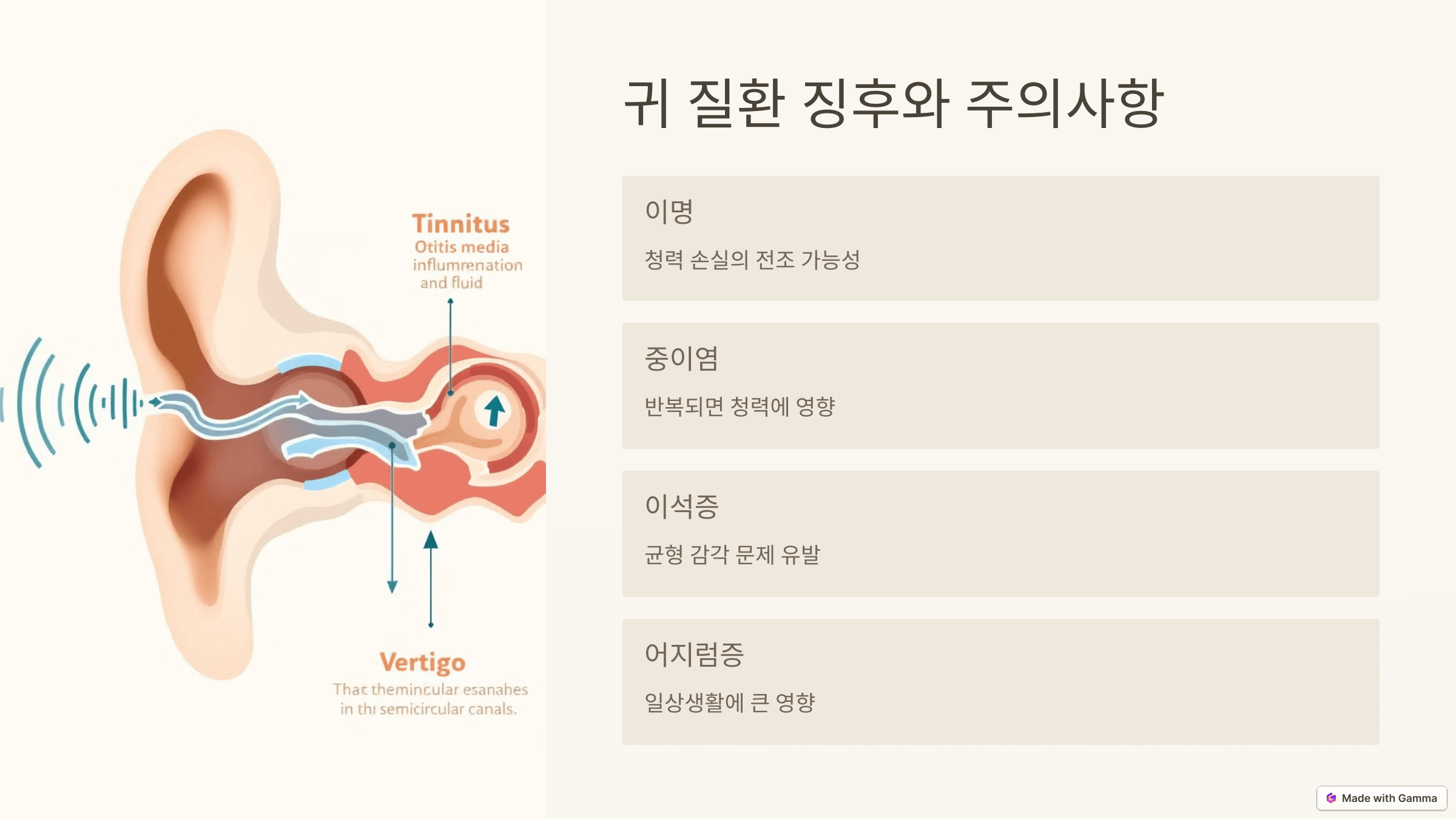 귀로 알아보는 건강 상태 점검 방법
