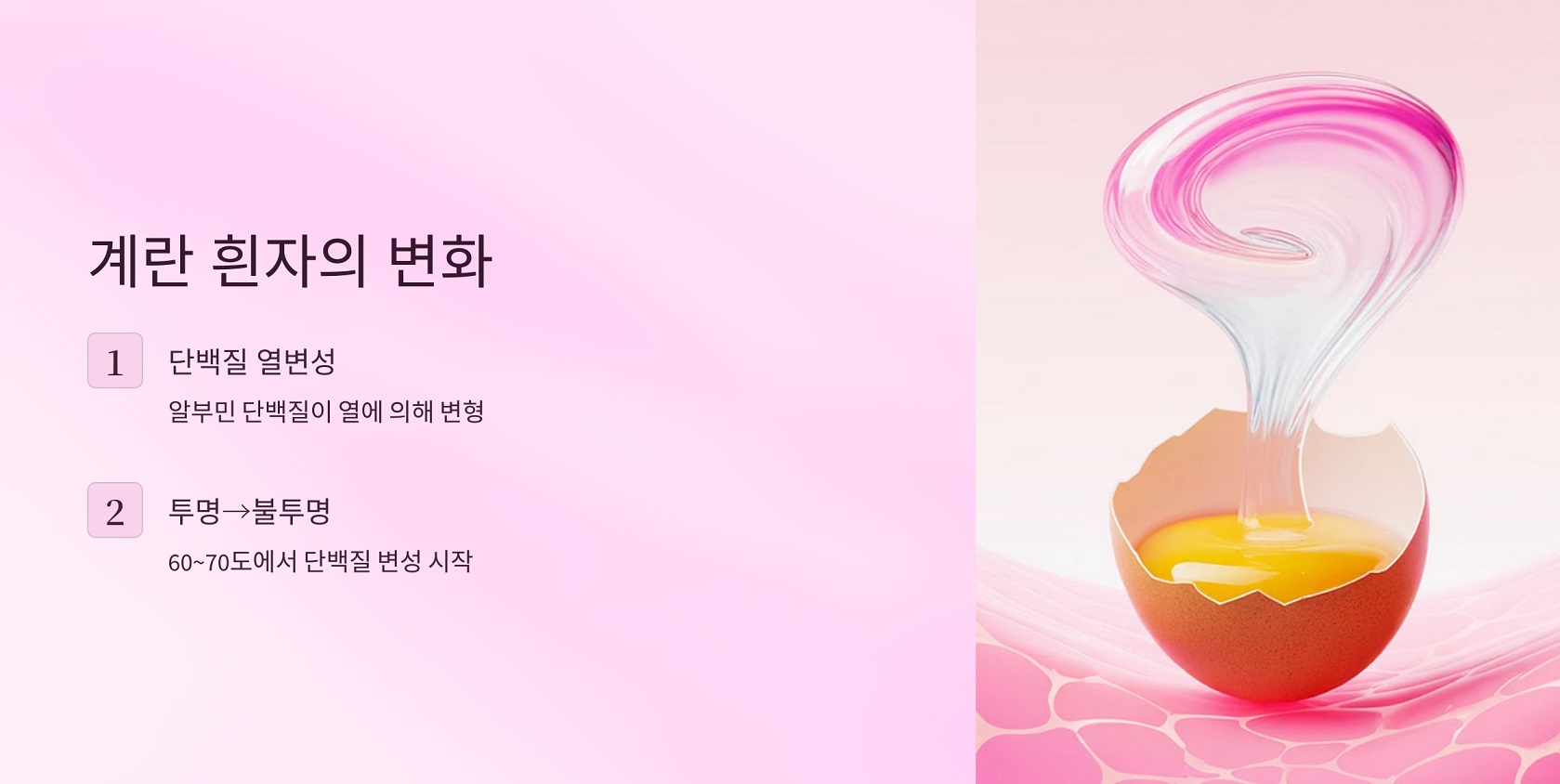 계란 흰자의 변화