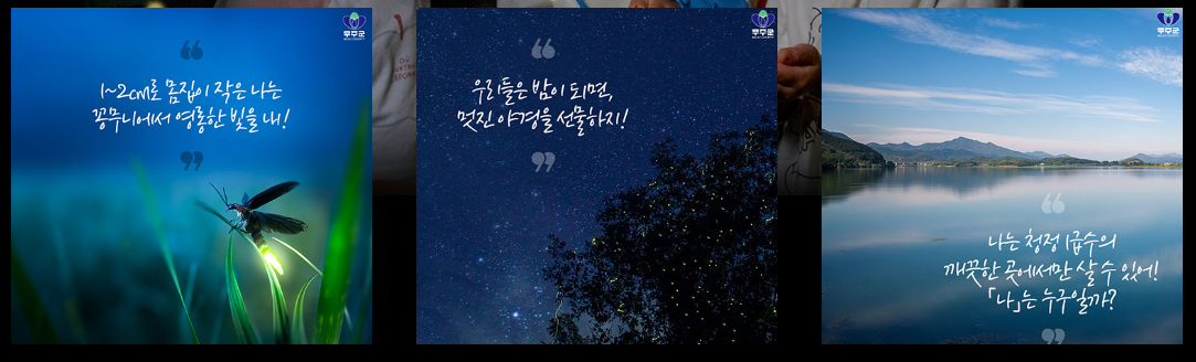 무주반딧불축제