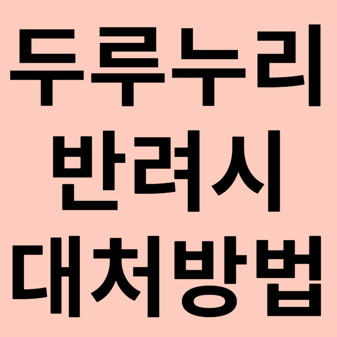 두루누리 반려 시 대처법 관련 이미지