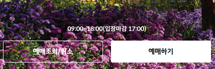 경기도 단풍 명소 곤지암 화담숲