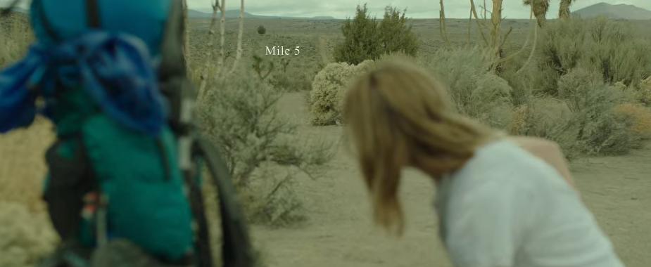 영화-와일드-wild