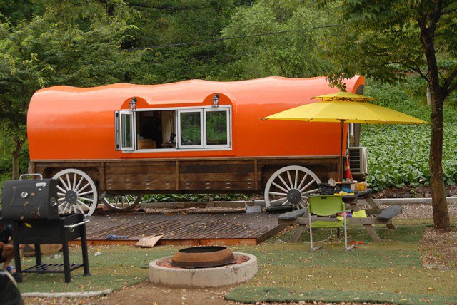 태백 해바라기축제 마차펜션