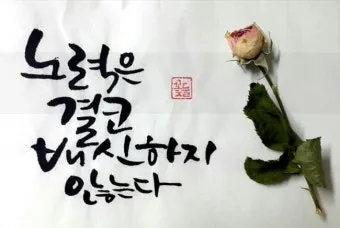 노력은 결코 배신하지 않는다 성공을 위한 자기계발 전략_6