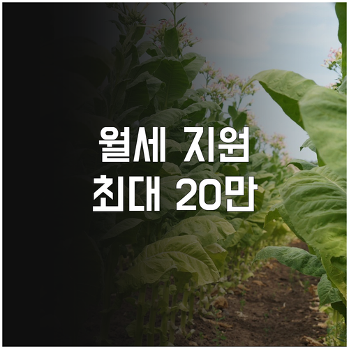 만 19세부터 39세까지 보령시 월세..