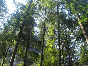 장가계 6월 날씨 정보와 옷차림 여행 팁